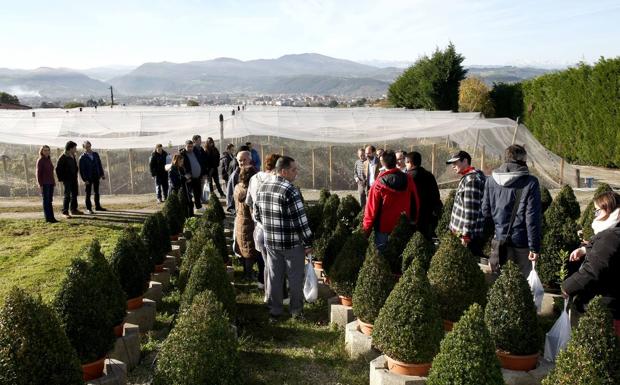 Más de 6.000 escolares participan este curso en el Aula de Educación Ambiental