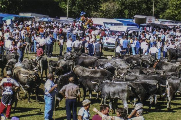 Puentenansa celebra su popular feria con «más ganado que nunca»