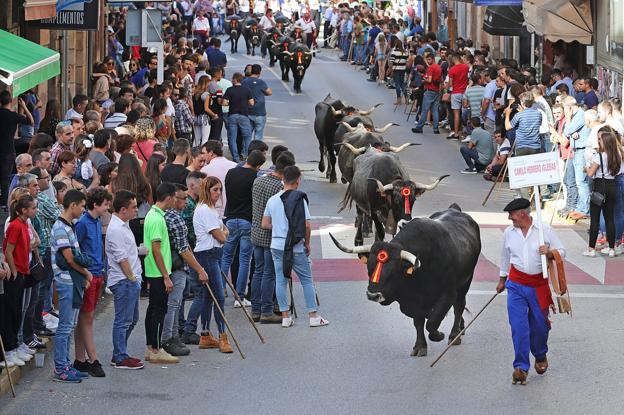 Las tudancas celebran su día grande en Cabezón de la Sal