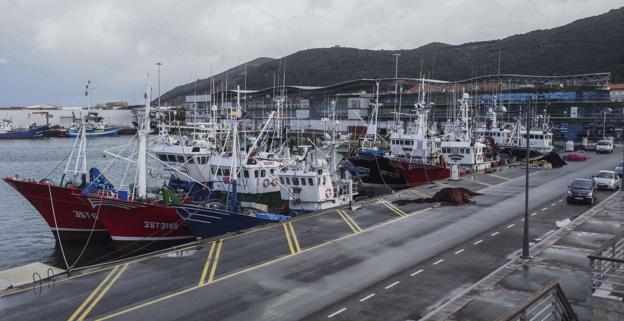 Obras Públicas estudiará la ampliación del muelle de atraque de Santoña