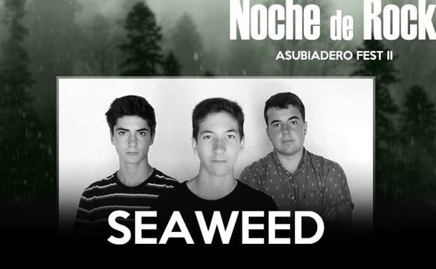 Mind Driller, Reality Check, Duro, Helevorn y los locales Seaweed actuarán en el Asubiadero Fest