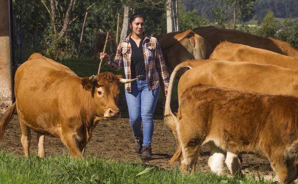 La CROTU da luz verde a 18 instalaciones ganaderas de jóvenes empresarios