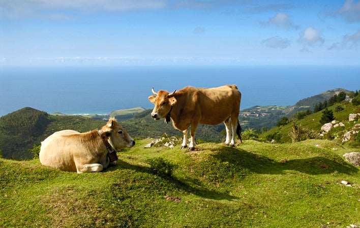 Ruta hasta el Pico Pienzu para disfrutar de una gran panorámica de los Picos de Europa y la costa