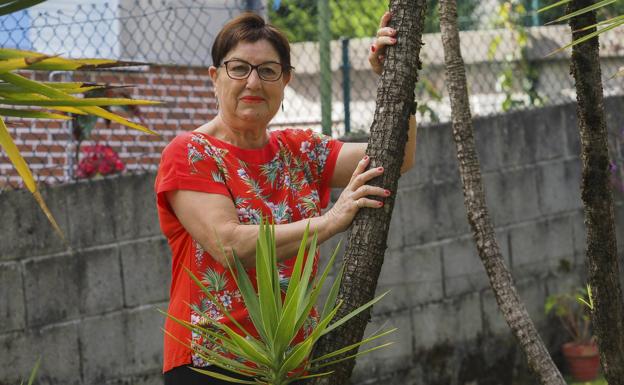«Los jóvenes han perdido el sentido del esfuerzo»