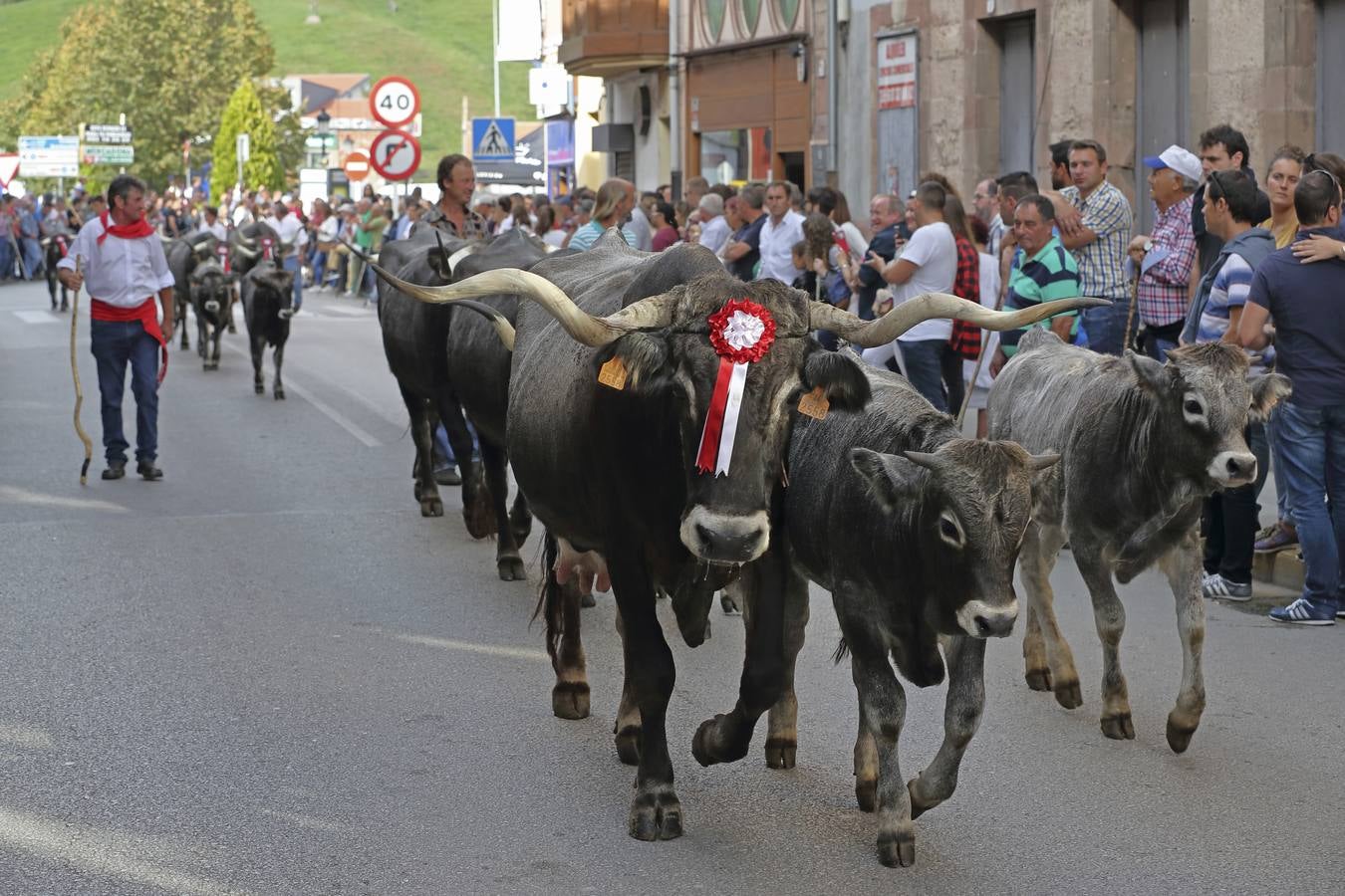 Olimpiada del Tudanco en Cabezón de la Sal