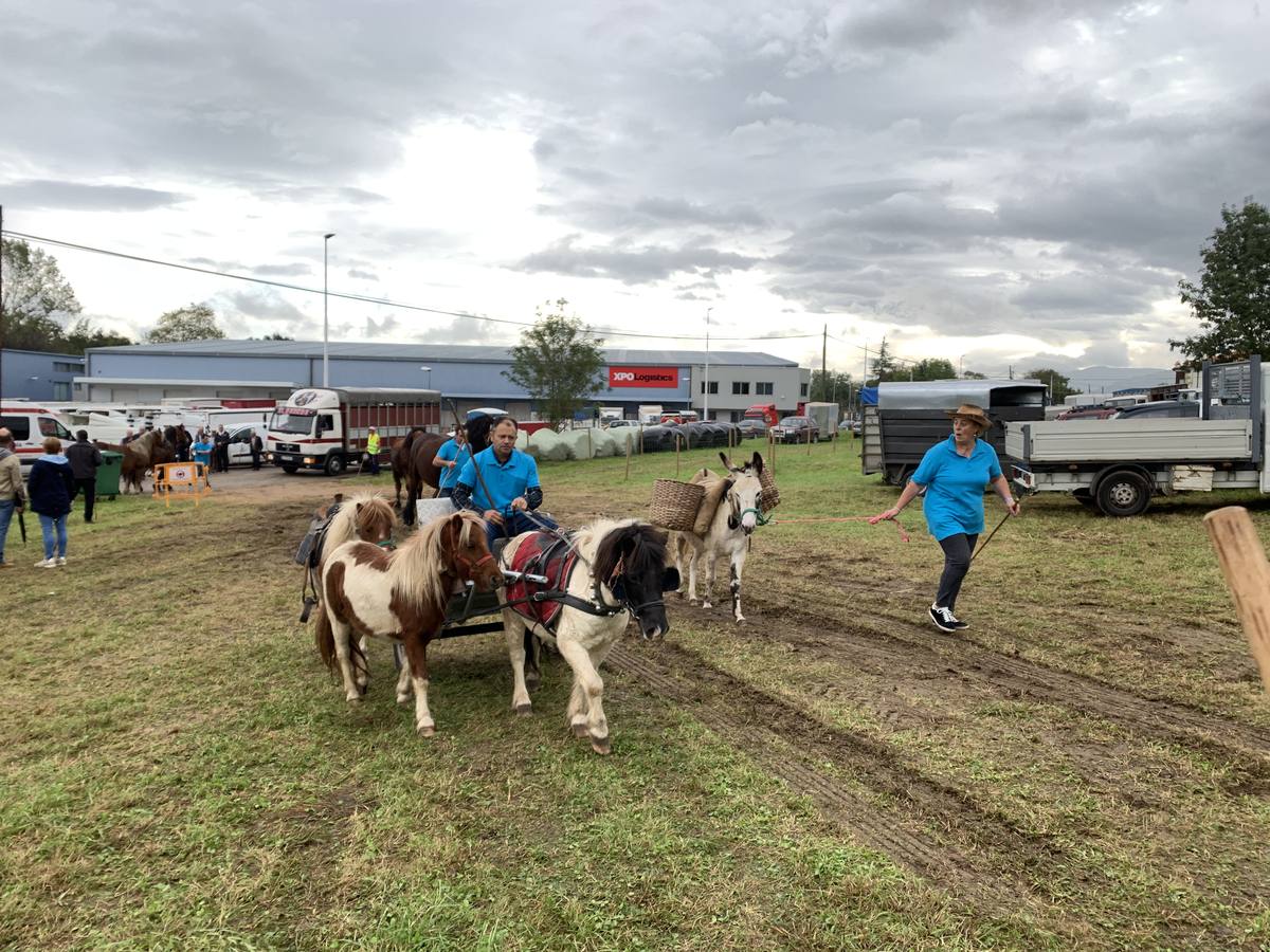 Feria de San Lucas en Hoznayo