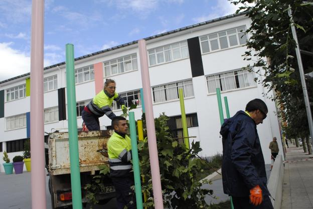 Llega la poda a Reinosa