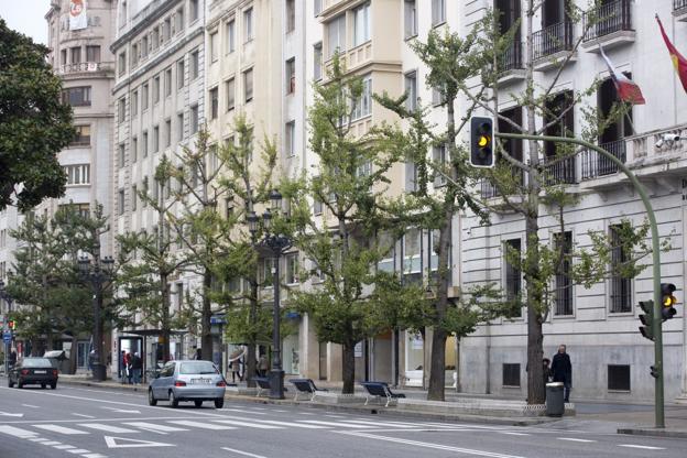 Los vecinos de Santander se plantan contra la poda «salvaje»