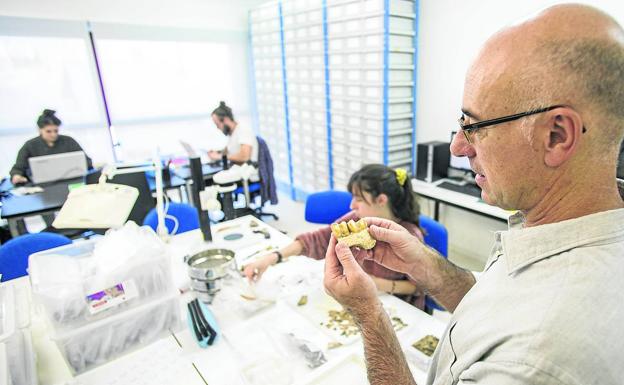 El Instituto de Prehistoria celebra su quince aniversario en un momento de «madurez y proyección»