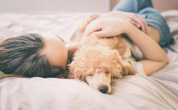 ¿Existe la baja laboral para cuidar a tu mascota enferma?