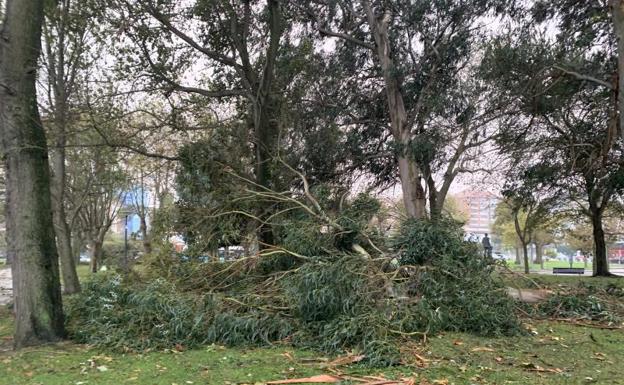 Rachas de viento de 126 kilómetros por hora azotan la costa cántabra