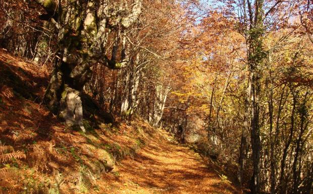 El Monte Hijedo será el gran protagonista de las Jornadas Europeas de Patrimonio