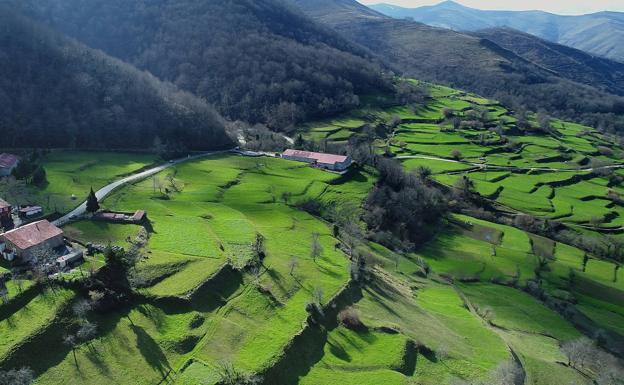 Dónde comer un buen cocido montañés entre Cabuérniga y Bárcena Mayor