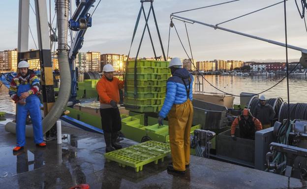 Vuelve la pesca tras 16 días de parón