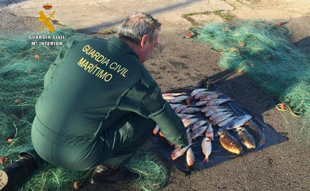 Detenido por pescar cachones y salmonetes en la Bahía de Santander y a plena luz del día