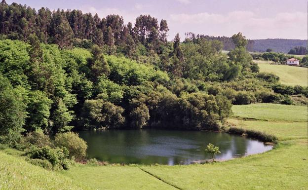 Comienza la campaña de reforestación 'Polanco verde'