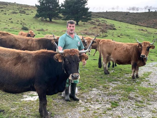 «Sería una pena que desapareciese la raza de vaca monchina»