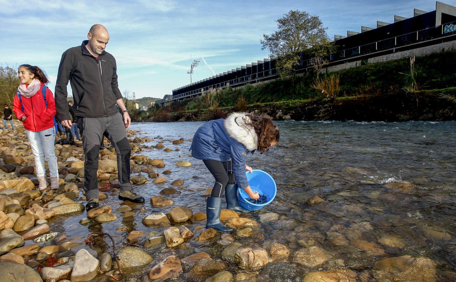 Suelta de juveniles de salmón en el río Besaya