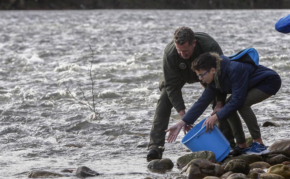 Norcantabric prevé comercializar salmones de la futura planta de Ramales a finales de 2022