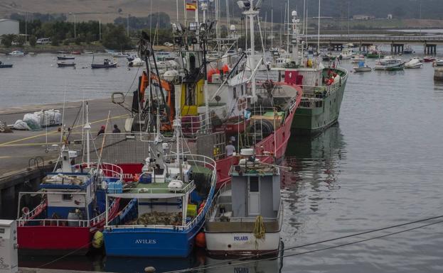 El Gobierno de Cantabria aprobará el jueves la Ley de Pesca Marítima para dar seguridad al sector