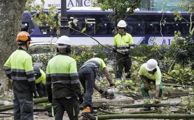 El Ayuntamiento de Santander estudia también el contrato de basuras