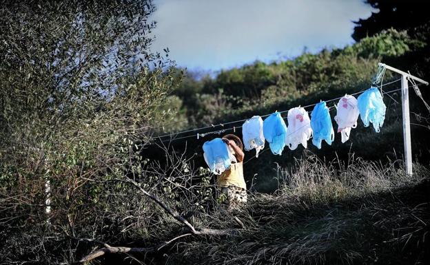 El PSOE quiere sacar los plásticos de un sólo uso de las instituciones de Cantabria
