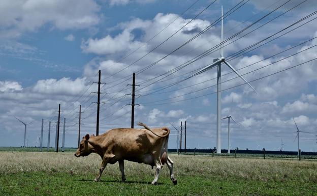 La próxima subasta de interrumpibilidad, «nueva puñalada» para la industria