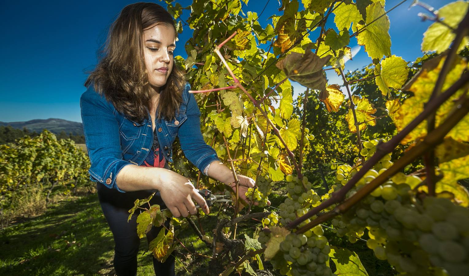 Blanco apuesta por revalorizar las materias primas y desarrollar los núcleos rurales