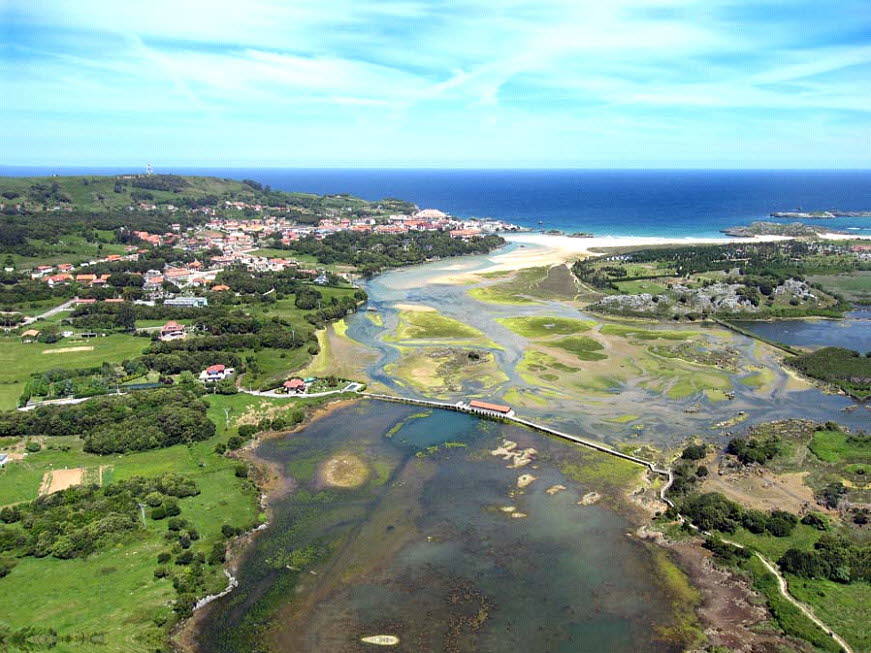 Dónde comer rico marisco en la zona oriental de Cantabria