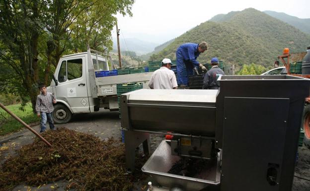 Cantabria destina 10 millones de euros a ayudas para la mejora de los productos agrícolas