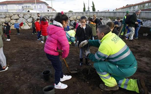 Escolares plantan 66 árboles en una finca de Barreda