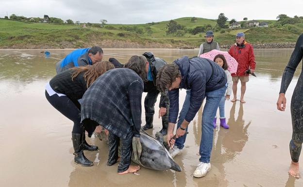 Los vídeos más vistos de Cantabria