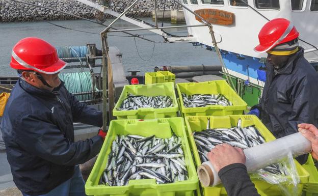 Los pescadores del Cantábrico defenderán el actual acuerdo de la anchoa ante Francia