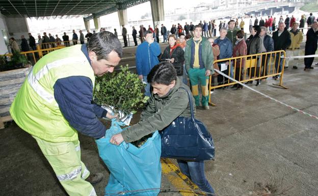 Torrelavega repartirá 3.670 árboles a sus vecinos dentro de la campaña de reforestación de este año