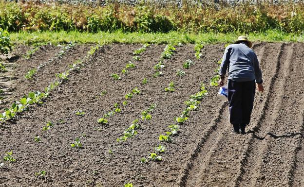 Los agricultores cántabros recibirán 6,7 millones en ayudas