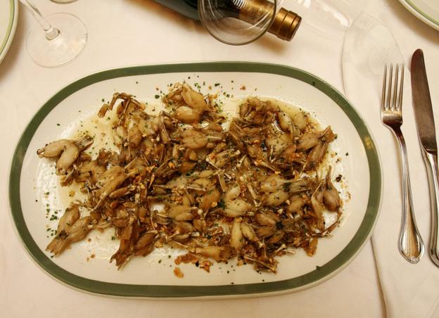 El manjar de la rana