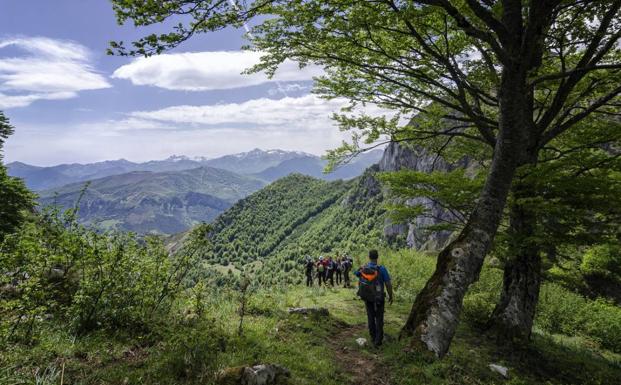 Descubre los Espacios Naturales Protegidos de Cantabria con Naturea