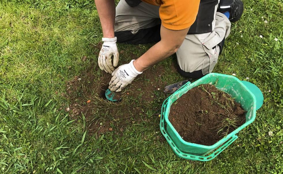 Las termitas devoran Cantabria