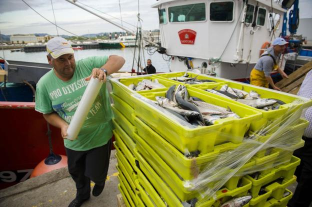 El Ministerio consigue mayor cuota para la pesca del jurel en Cantabria y evita la caída prevista del 40%