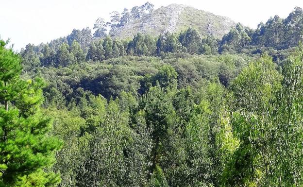Dónde comer por la zona de Entrambasaguas y Hoznayo