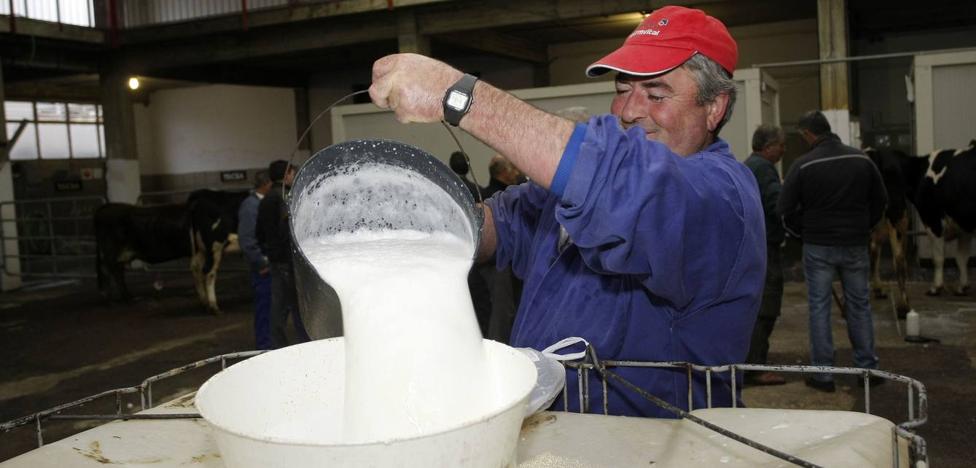 «Si la leche nos la pagan a 39 céntimos el litro, bailamos encima de la mesa»