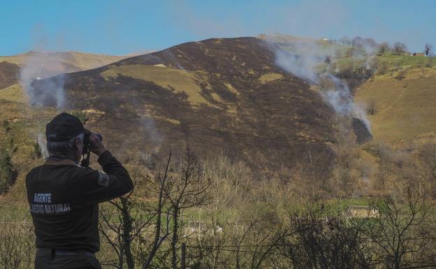 Siguen activos cuatro de los 17 incendios forestales que disparan la contaminación en Santander