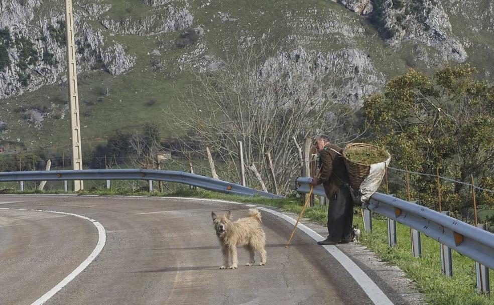 La despoblación vuelve a todas las agendas