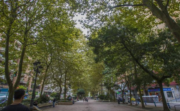 Detenido en Santander tras agredir y morder a dos policías y lanzar a uno de ellos por los aires