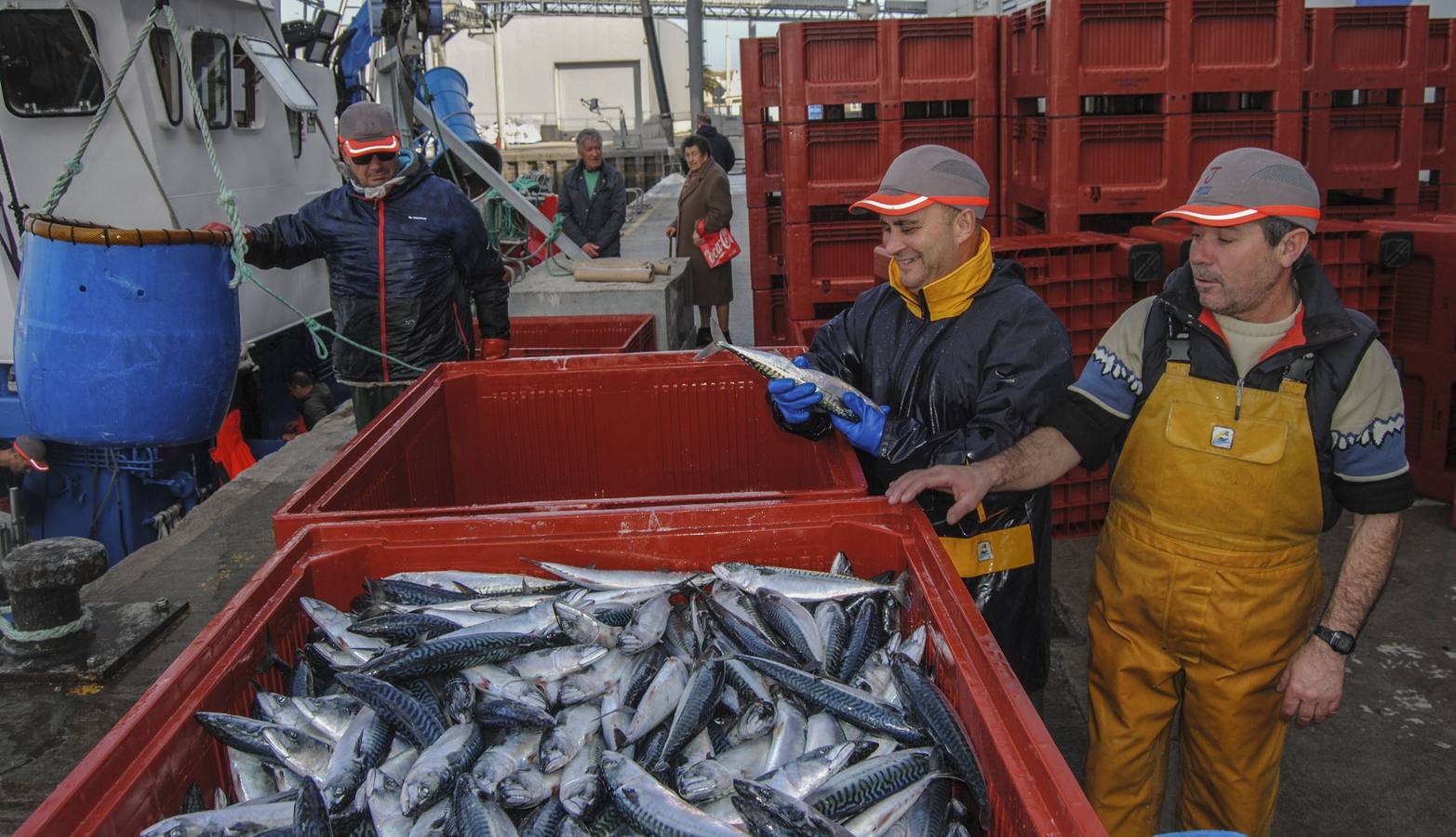 Los pescadores cántabros están preocupados por cómo se repartirá la cuota de verdel entre las flotas del Cantábrico