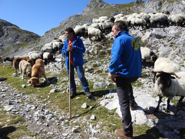 La ganadería extensiva de montaña, en alza