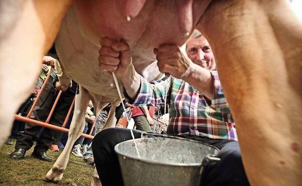 Ruiloba estrena este domingo el circuito de ferias agroalimentarias con un homenaje a los ganaderos