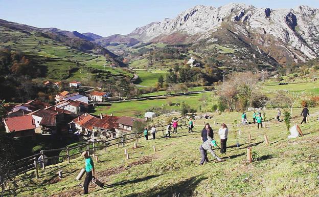 El Gobierno y Lamasón reforzarán su colaboración contra los incendios