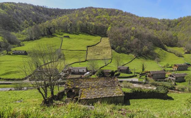 Las medidas fiscales para luchar contra la despoblación incluyen 56 municipios
