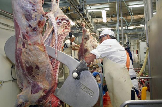 El Ayuntamiento de Torrelavega afirma que el ganado ovino, caprino y porcino no es prioritario